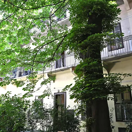 Amber Terrace Downtown 4*